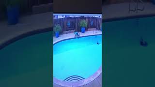 Boy rides bike in backyard and falls into pool
