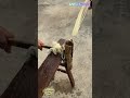 Banana Stem Fiber Extraction Hack! A Simple Tool Makes It So Much Easier