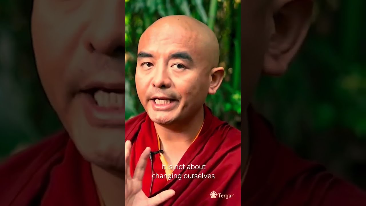Learn from Monks🧘 Practical Tips for Beginners in Meditation.