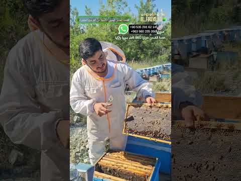 عسل عسل طبيعي اكسبلور سوريا دمشق  تركيا اسطنبول