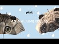 Pikkii animal umbrellas  for when its raining cats  dogs