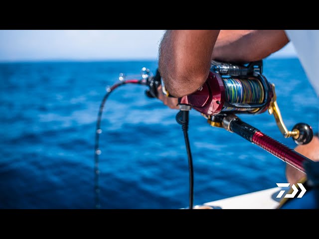 Daiwa Seaborg 1200MJ from DAIWA - CHAOS Fishing