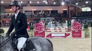 Jaguar SIH Z stallion Competition Lier 2026