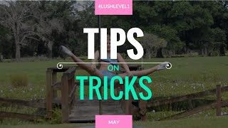 Teddy Trick Tutorial - Beginner Pole Dance