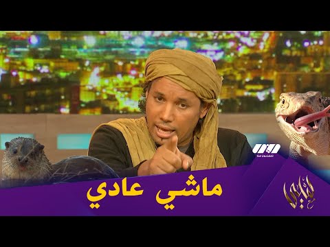 رضوان طاهري يستعرض صور حيوانات نادرة تعيش في صحراء الجزائر