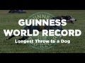 Guinness world record  longest throw caught by a dog  402 feet davy whippet