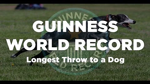 GUINNESS WORLD RECORD - Longest Throw Caught by a Dog @ 402 feet (Davy Whippet)