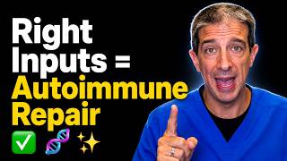 The Hidden Inputs Behind Autoimmune Repair