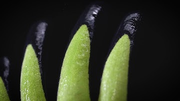 Traffiglove: Introducing LXT Range