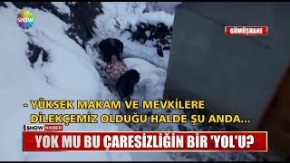 Yok Mu Bu Çaresizliğin Bir \