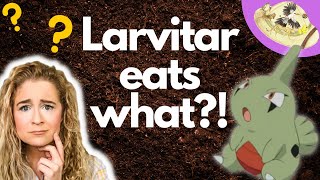 What Does Larvitar Eat? Pokemon Biology!