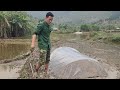 After many years away from his hometown, Trieu Khang returned to farm rice.