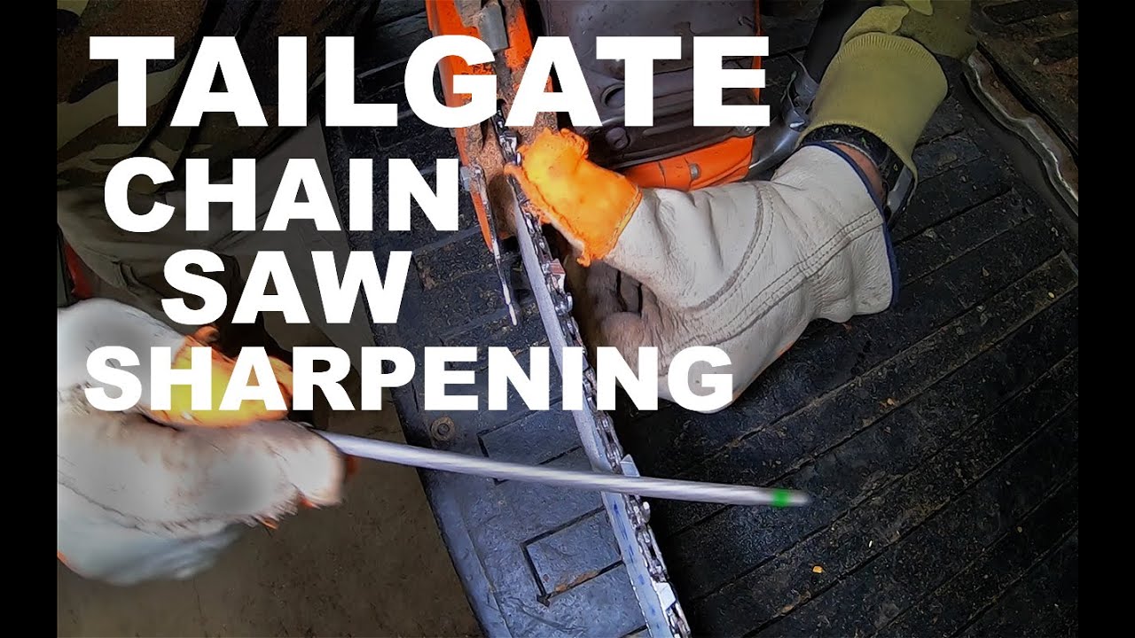 How to sharpen a chainsaw with a HAND FILE - #600 - YouTube