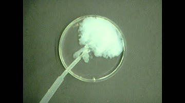 na3po4 cacl2 precipproject