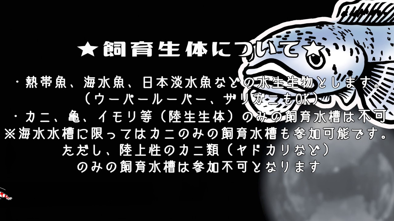 第3回mftc マイフィッシュタンクコンテスト 概要 Youtube