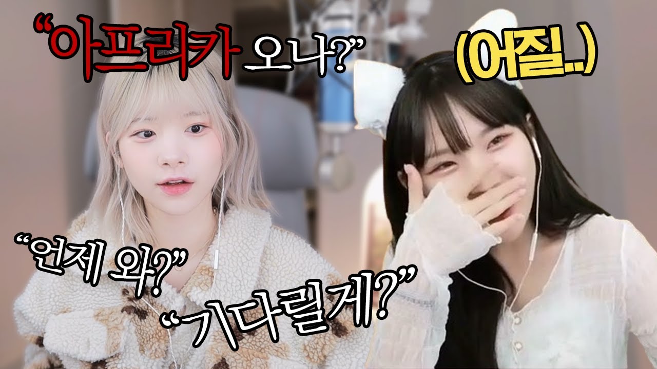 우정잉님 아프리카 오신다구요?!