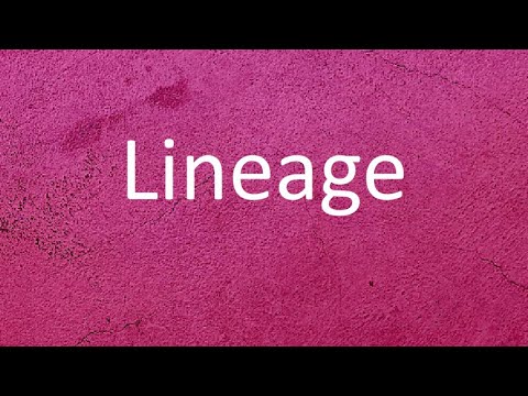 Pronunciation, meaning and usage of the word 