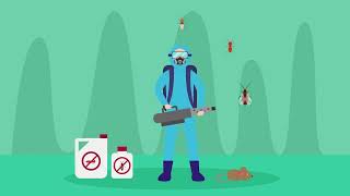 Absolute Pest Management - Roach Season Texas