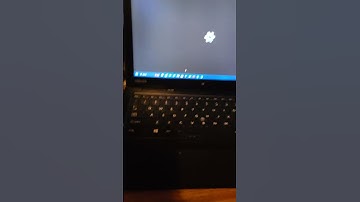 Running Windows 11 Insider Preview 25300.1000 on a Toshiba laptop tablet