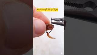 बड़े काम की मछली पकड़ने की गुप्त ट्रिक! Raisin Fishing Bait🎣#fishing @aaryankelvin#fishingvideo