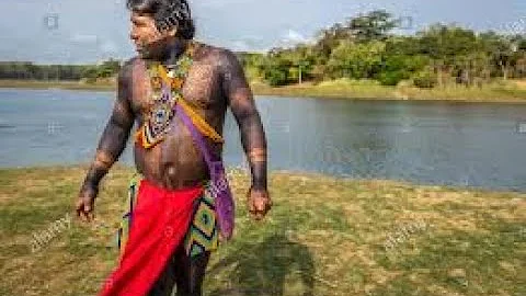 THE LAST DAYS OF THE CACIQUE ARCADIO DOMICO