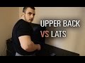 Upper Back vs Lats