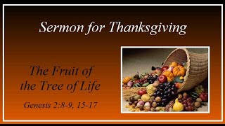 A Thanksgiving Sermon based on Genesis 2 8-9, 15-17 - "The Fruit of the Tree of Life" Sermon Genesis 2 8 15 17 Dec 26 2021