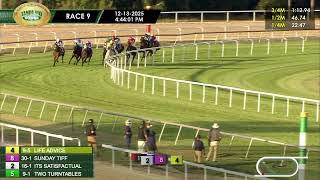 December 13, 2025  Race 9