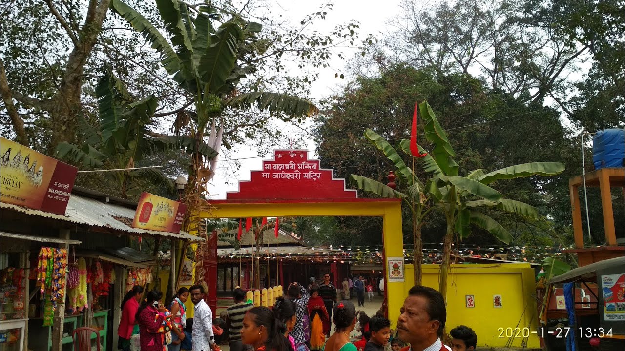 MANDINER CHANNEL VIDEOS visual data 6