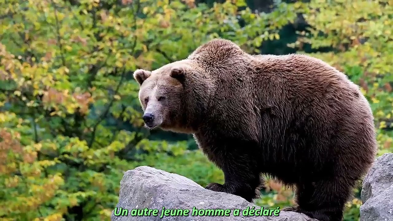 Cultiver le calme et la sérénité : Contemplation guidée par Thich Nhat Hanh | Eng./Sous-titrée Fr.