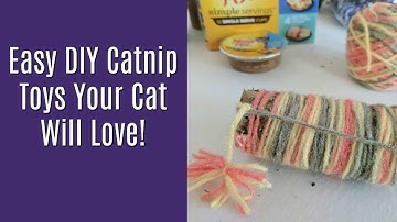 Easy DIY Catnip Toys