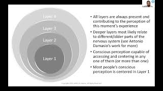 The Martin Matrix, a Comprehensive Map of Persistent Non-Symbolic Experience (Enlightenment/Nondual)
