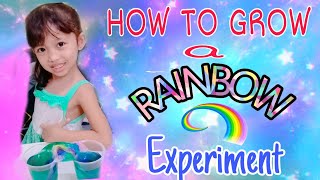 HOW TO GROW A RAINBOW EXPERIMENT