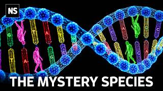 Scientists Found Unknown Humans in Our DNA