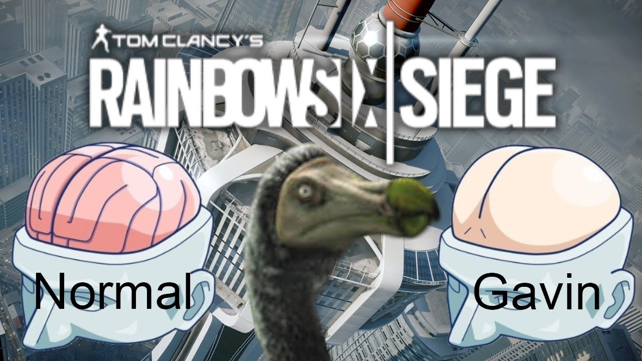 R6 Funny Moments but We Discover the Truth About Gavin's Brain - YouTube