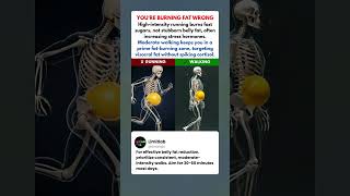 Running Vs Walking What Actually Happens Inside Your Body