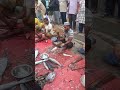 Amazing River Cat Fish Cutting Skills #Ayer Fish Cutting Expert #ARS Fish Cutting