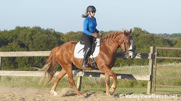 Redford***For info, price, etc., go to our website: ValleyViewRanch.net***