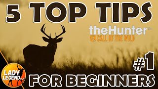 5 TOP TIPS & TRICKS for BEGINNERS in The Hunter Call of the Wild 2023  Ep.1