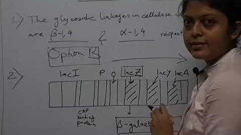 IIT JAM BIOTECHNOLOGY 2019 QUESTION PAPER SOLUTION WITH FULL AND DETAILED EXPLANATION.