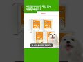 씨엔앨라이프 전국민 집사 레몬향 배변패드