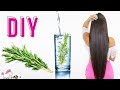 Agua De Romero Para El Crecimiento Del Cabello🌿 100% Funciona 🦄 Bessy Dressy