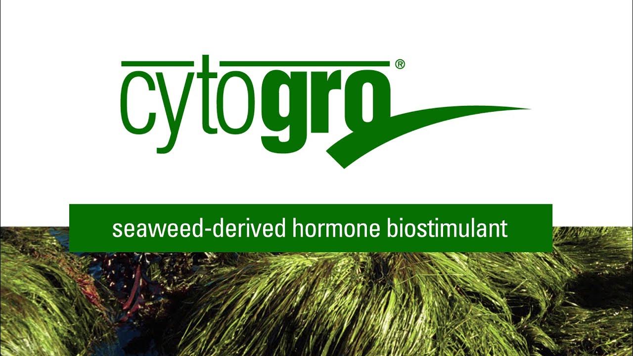 CytoGro Root Hormone Biostimulant YouTube