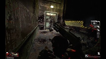 Left 4 Dead Death Aboard - 2 Experts Insane Mix