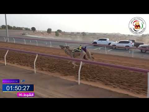 ميدان الذيد ش 14 فطامين 26 07 2025 غازي ل صالح سالم مهير بن قطي المنصوري التوقيت 2 15 84