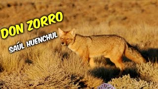 Don Zorro | SAÚL HUENCHUL + LETRA chords