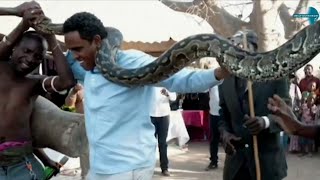 Katika Kuenzi Tamaduni,Waziri Bashe Nayeye Acheza Na Chatu Mkubwa