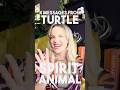 🌟 4 Lessons from TURTLE Spirit Animal 🐢 with Rachel Hope