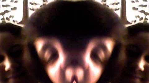 The grasshopper from the vortex