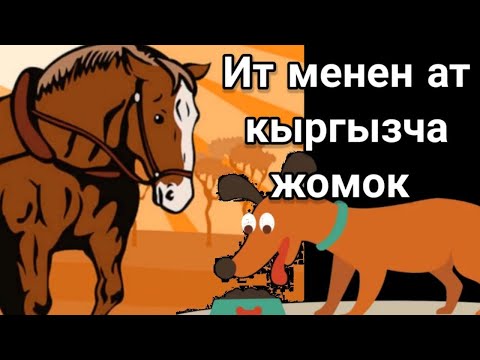 Video: Ит менен Исландияга саякаттоо